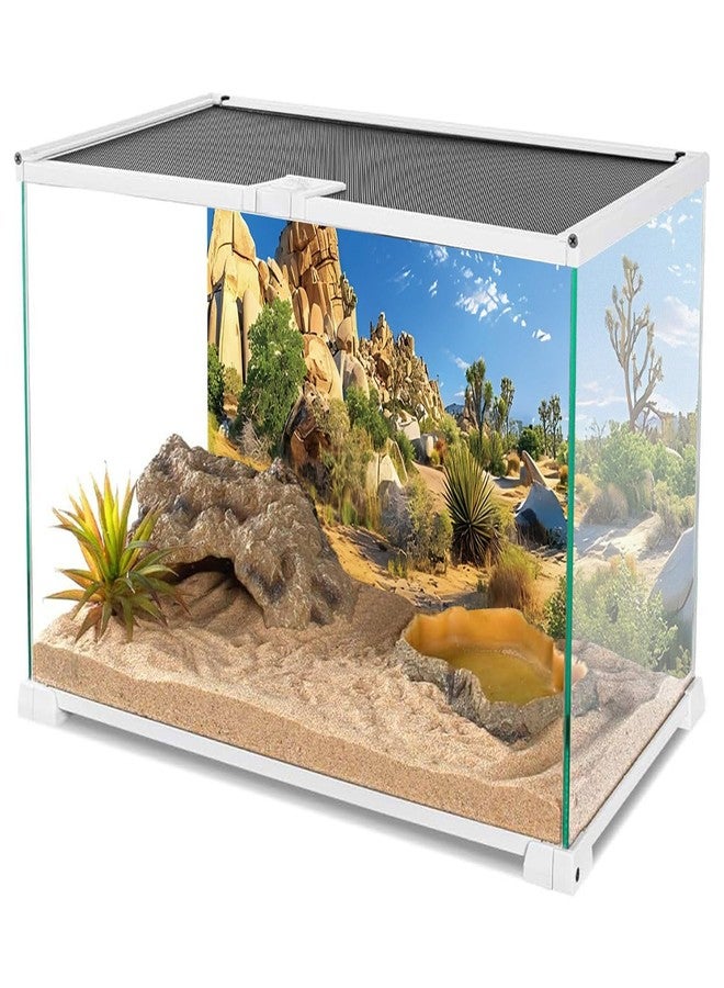 AWERT خلفية موطن الزواحف من AWERT، مقاس 48 × 24 بوصة، لون حجري، سماء زرقاء، واحة، صبار، شمس، وصحراء، خلفية من البوليستر - Image 3